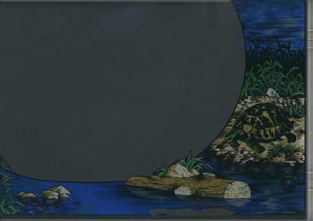 Zaccaria Frogger monitor glass scan - bottom right